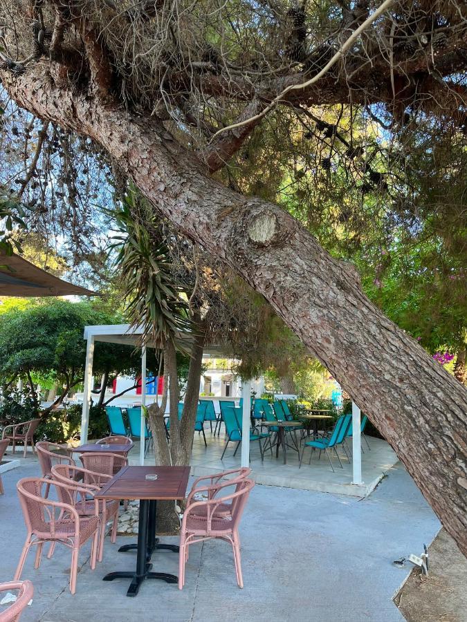 Theodorou Beach Hotel Apartments Psalidi  Eksteriør billede