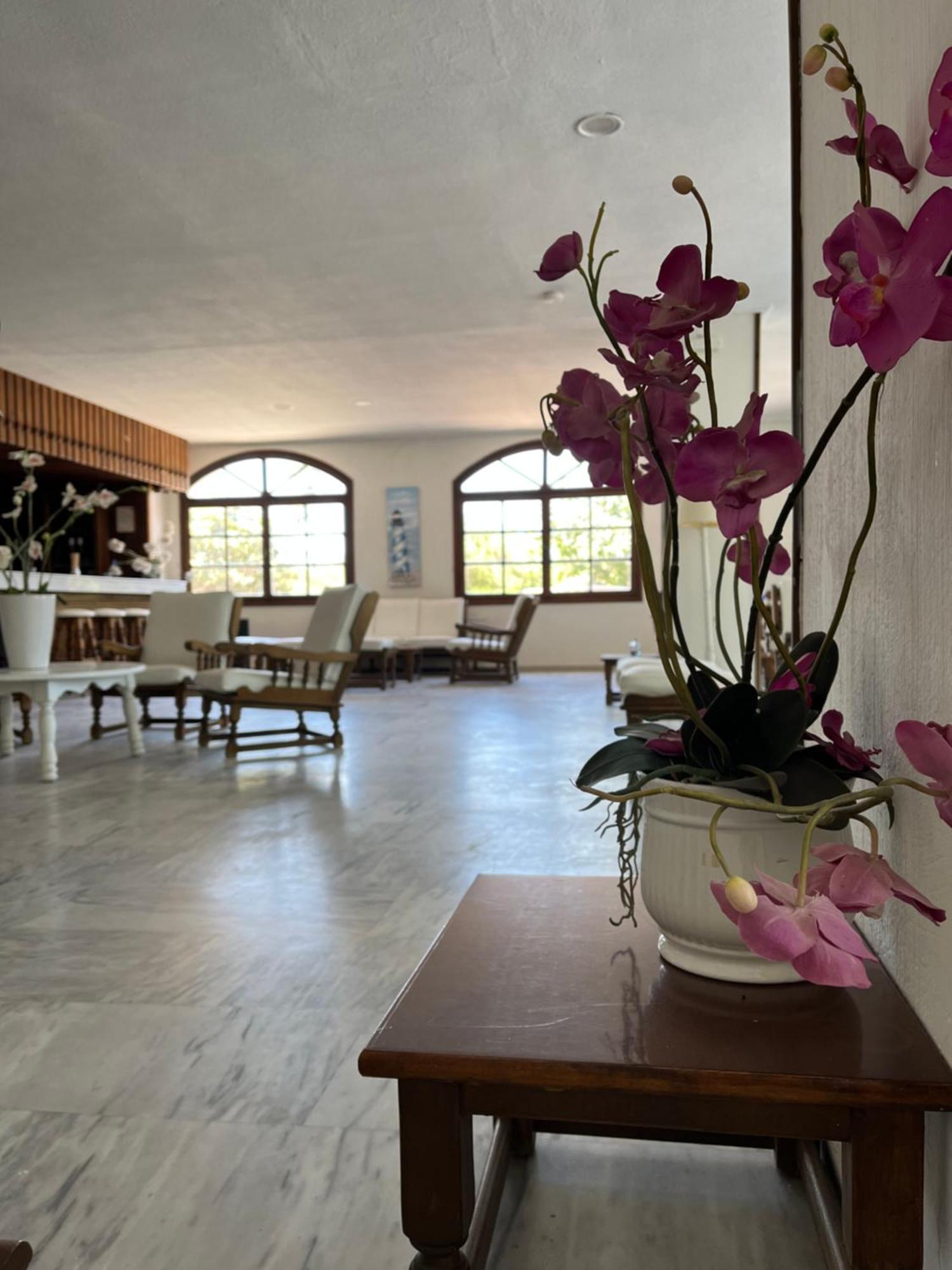 Theodorou Beach Hotel Apartments Psalidi  Eksteriør billede